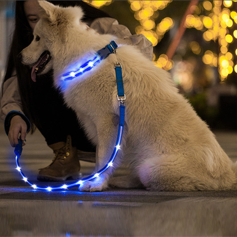 Correa para perro con luz LED, recargable por USB, de seguridad nocturna, de nailon duradero para caminar y entrenar.